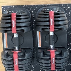 Motions（モーションズ）可変ダンベル24kg×2個