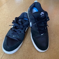 NIKE SB ALLEYOOP 28cm