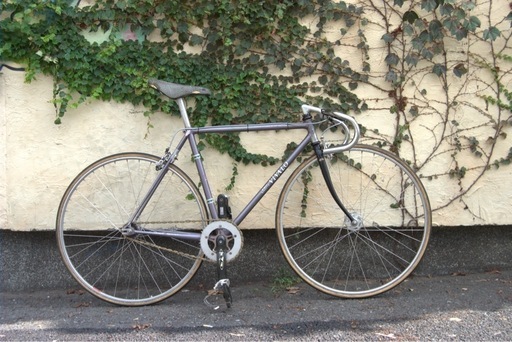 NJS vivalo pro special ピスト