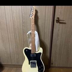 fender japan テレキャスターカスタム　Eシリアル