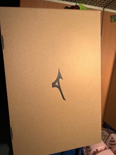 ミズノ 作業靴 新品未使用 26.5インチ