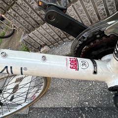 ルイガノ LOUIS GARNEAU J24 Cross 子供自転車 24インチ 