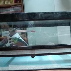 NISSO　レプティワイルド爬虫類ケージ