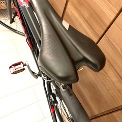 GIANT ESCAPE RX3 2017モデル　空気入れ　洗浄剤　チェーンオイル付