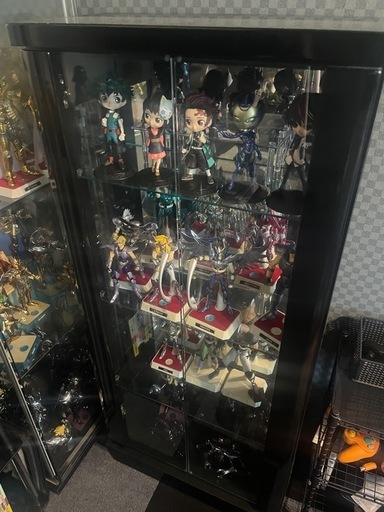 コレクションケース