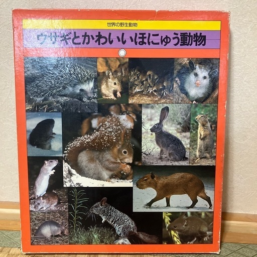 世界の野生動物全20巻セット　箱付き