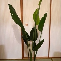 観葉植物(造花)