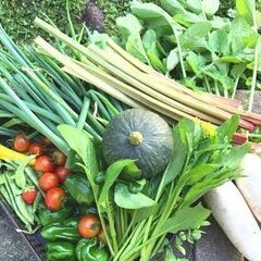 野菜や果物の【生産者様募集】～お野菜売ってみませんか？