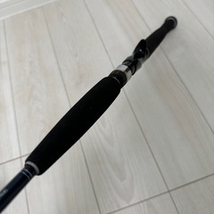 DAIWA SALTIGA ソルティガ COASTAL SG 55B-3/4
