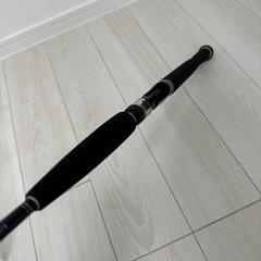 DAIWA SALTIGA ソルティガ COASTAL SG 55B-3/4