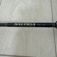 DAIWA SALTIGA ソルティガ COASTAL SG 55B-3/4