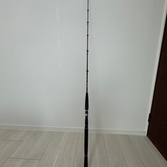 DAIWA SALTIGA ソルティガ COASTAL SG 55B-3/4