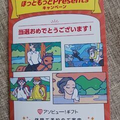 （値下げしました）アソビューギフト券　チケット