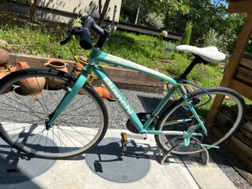 Bianchi camaleonte sport 5 cinque 2011年 2011 BIANCHI Camaleonte 5