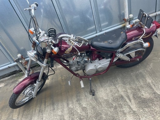 jazz 50 実働