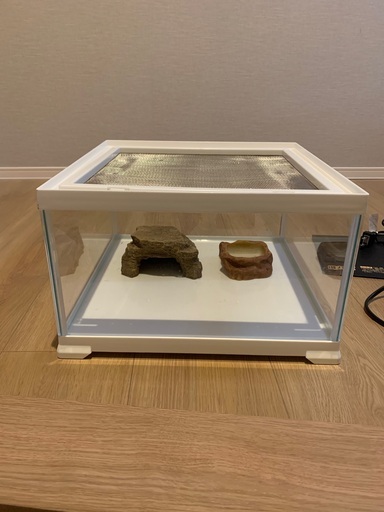 レオパ飼育セット