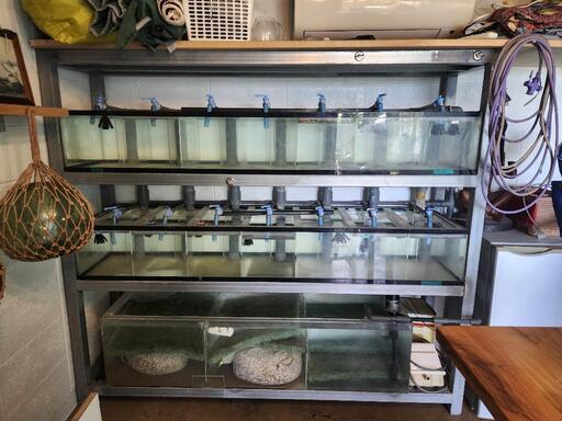水槽セット