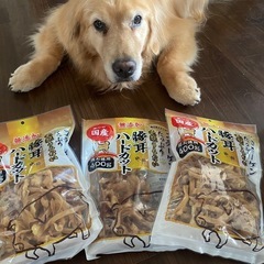 お値下げしました
犬のおやつ、豚耳、おやつ、犬 