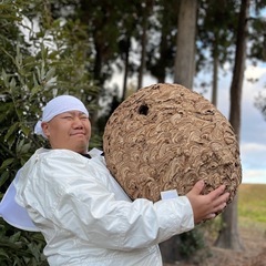 【蜂駆除】今年もご依頼多数！ご連絡後すぐにご対応致します！💪