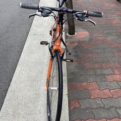 🚴 マリン　コルトマデラ