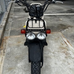 ZOOMER(クリーム色) できるだけ早く売りたいため金額は相談に乗ります！！