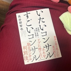 【ネット決済】コンサルビジネス書　「いたいコンサル　すごいコンサル」