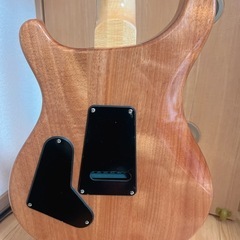 PRS SE Custom 24-08-Faded Blue【木目選定品】