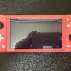【本日値下げ中】ニンテンドースイッチライト Switch Lite ソフト付き