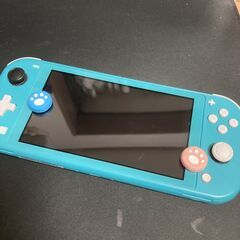 Nintendo Switch Lite ターコイズ 中古 本体とプロコン付き