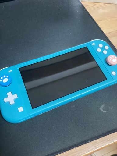 Nintendo Switch Lite ターコイズ 中古 本体とプロコン付き