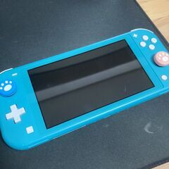 Nintendo Switch Lite ターコイズ 中古 本体とプロコン付き Nintendo Switch Lite ターコイズ 中古 本体とプロコン付き