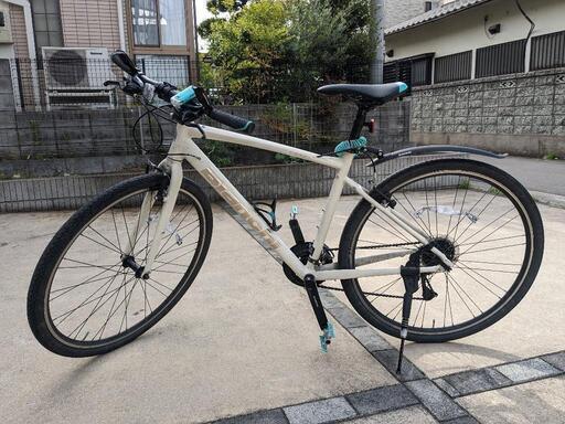 Bianchi　CSPORT1