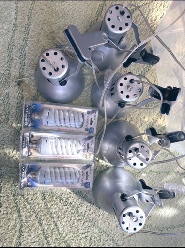 売れました！カミハタ　ヴォルテス30w5台　交換球３個