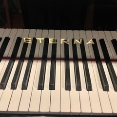 希少　エテルナ(ヤマハ) No.G5 グランドピアノ　美音