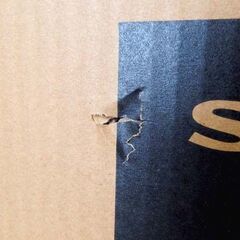 新品 SHARP プラズマクラスター加湿空気清浄機 KC-M503J ホワイト系 プラズマクラスター7000 札幌市