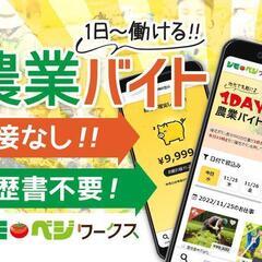 農業バイト【新潟県中魚沼郡】履歴書不要/明日から勤務可！