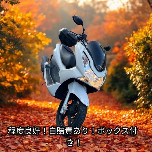 完売御礼！！！！ありがとうございました！！