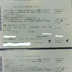 2024年9月14日（土）第37回 利根川花火大会 五霞町側 Ｅイス席2枚