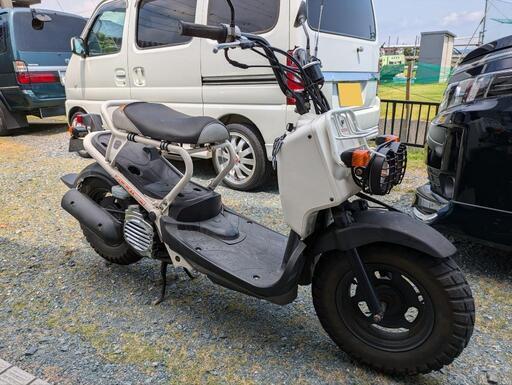 ホンダ　ズーマー50