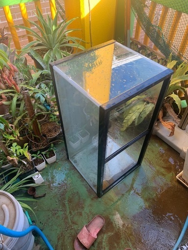 90センチ水槽