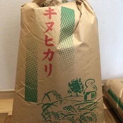 令和５年産新米三田米どんとこい玄米(10キロ) (mozu) 三田本町の食品の中古あげます・譲ります｜ジモティーで不用品の処分