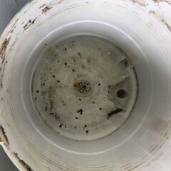 洗濯機の分解クリーニング行っています！配送設置込み　ハイアール5.5K洗濯機　2019年製　分解クリーニング済み！！