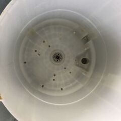 洗濯機の分解クリーニング行っています！配送設置込み　ハイアール5.5K洗濯機　2019年製　分解クリーニング済み！！