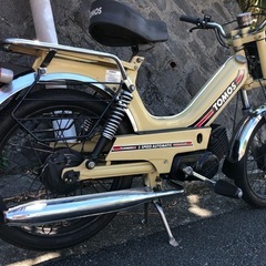 トモス　TOMOS  クリーム色　人気です！