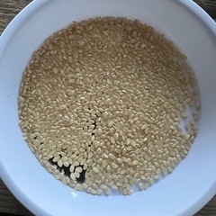 令和6年茨城県産コシヒカリ24kg Amazon.co.jp: ishizaki【精米】令和6年産 茨城県産 こしひかり