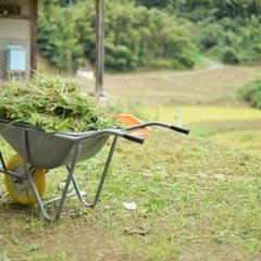 草刈り　日払い対応　男女募集！　　　　　　　　　　未経験可　社宅有り