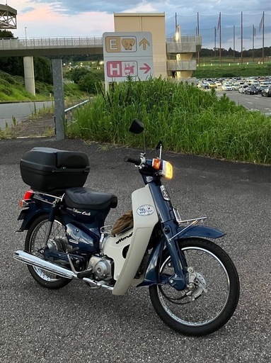 購入者決定】スーパーカブ50 カスタム(72cc) ☆低走行 前後タイヤ 購入者決定】スーパーカブ50 カスタム(72cc) ☆低走行 前後タイヤ
