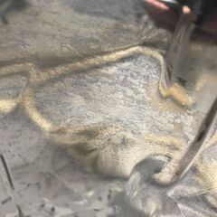 ★ジモティ割あり★ SHARP 冷蔵庫 8ｋｇ 21年製 動作確認／クリーニング済み HJ4142