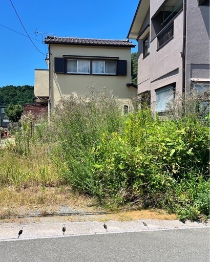 草刈り、伐採など承ります。