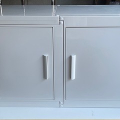 手渡し限定】冷やし虫家 シーラケース